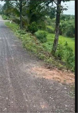 Đất chính chủ - thổ cư 100 - 2 lô liền kề ấp bàu sến, đức 6895385