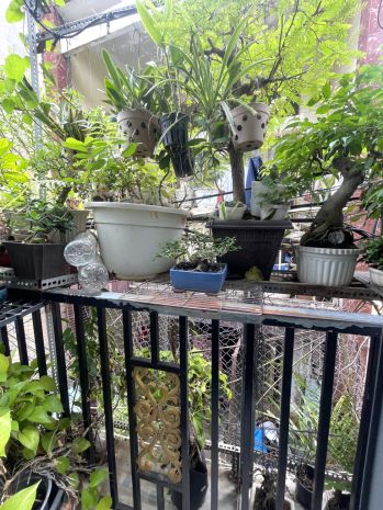 Bán nhà hẻm thông cmt8 2pn hơn 1 tỷ shr 6898127