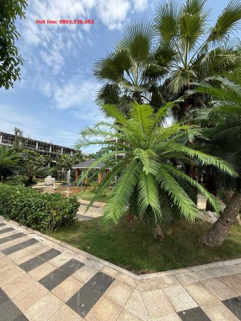 Dự kiến cháy hàng sau khi mở bán! 6898279
