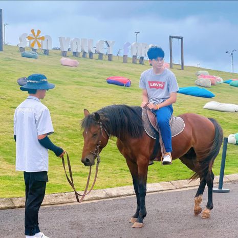 Bán đất sun valley bảo lộc full thổ cư view đẹp 6898737