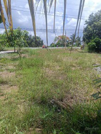 Cơ hội đầu tư sinh lời  đất mặt tiền quốc lộ 62, cây số 15 6898992