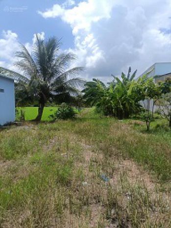 Cơ hội đầu tư sinh lời  đất mặt tiền quốc lộ 62, cây số 15 6898994