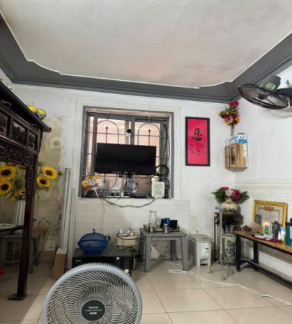 Cho thuê nhà mặt phố  tiện kinh doanh, khu phố đi bộ 6902152