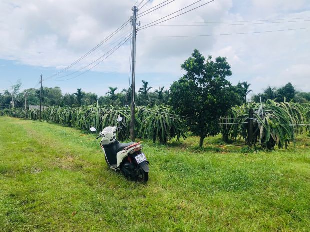 Bán 1825m2 đất thôn ba đăng - tân hải - lagi giá rẻ nhất 6908806