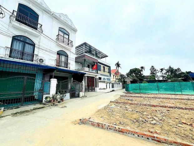 Hàng hiếm xích thổ  an dương, chỉ còn 1 lô duy nhất 6909640
