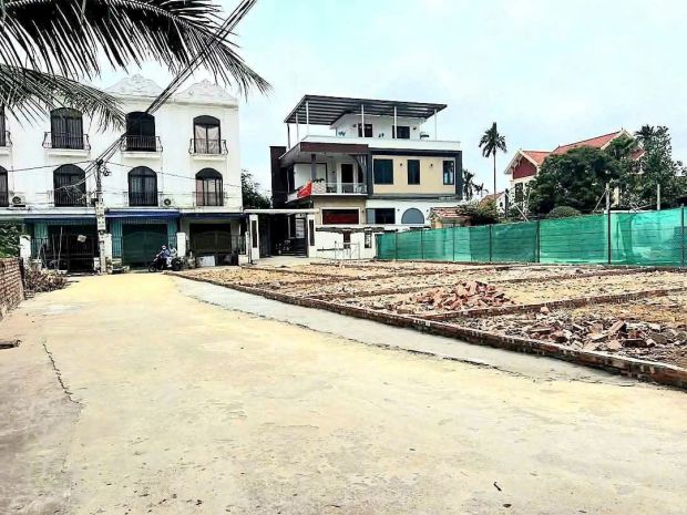 Hàng hiếm xích thổ  an dương, chỉ còn 1 lô duy nhất 6909641