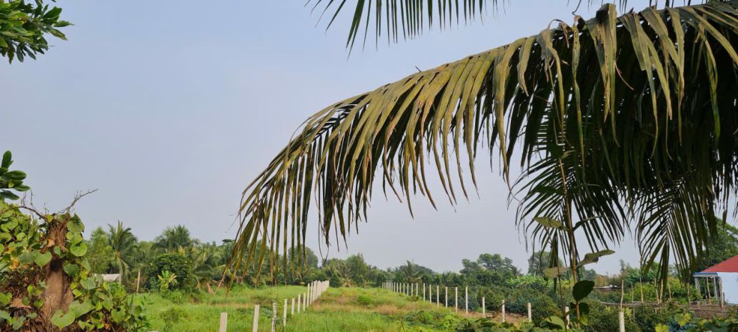 Bán đất mặt tiền kênh 8  xã bình lợi, bình chánh 6913253