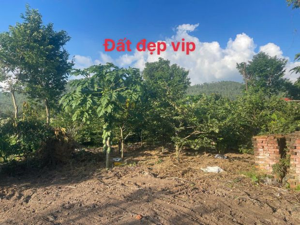 Mở bán lô đất f0 siêu phẩm , đất nghỉ dưỡng tại đại đình 6914671