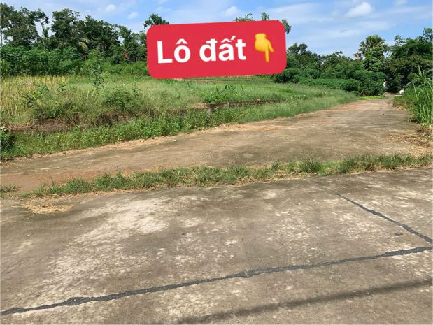 Chính chủ cần bán lô đất cực hiếm tại liễn sơn  lập thạch 6915588