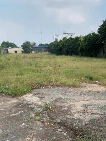 Bán đất 10.000m2 ngang 39m giá 190 tỷ đường tô ký 12 6916247