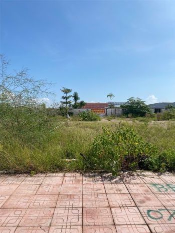Bán lô đất đấu giá đồng nẻo  ngọc xuyên  đồ sơn  117,5m² 6919589