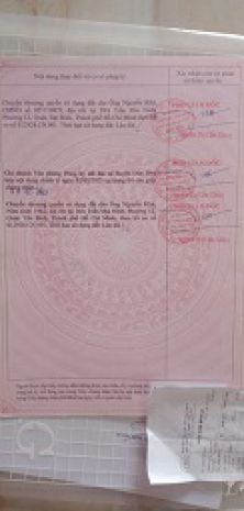 Bán đất đẹp dự án young town tây bắc sài gòn  đức hòa, 6919613