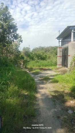 Chính chủ bán đất 5x33m - 100m² tc-  giá 1,5 tỷ  lai hưng, 6924185