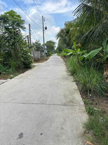 Chính chủ bán đất thổ + vườn đường rạch cát,lương bình, bến 6926103