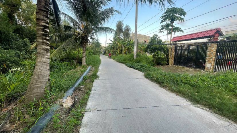 Chính chủ bán đất thổ + vườn đường rạch cát,lương bình, bến 6926105