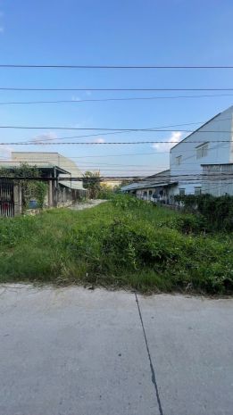 Chính chủ bán đất thổ + vườn đường rạch cát,lương bình, bến 6926106