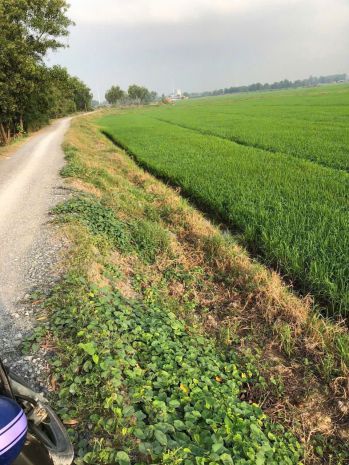 Đất 119x77 mặt tiền tân thới nhì, hóc môn, giá chỉ 3,5 6928268