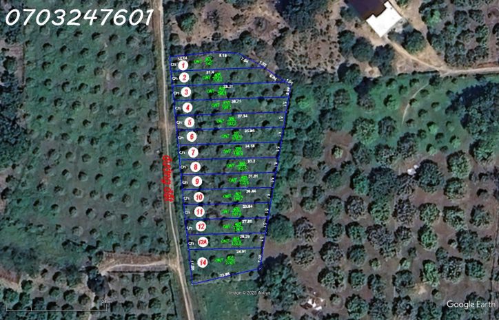 Mua bán đất nền cam lâm giá chỉ từ 830 triệu, gần khu công 6930919