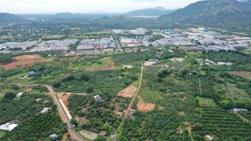 Mua bán đất nền cam lâm giá chỉ từ 830 triệu, gần khu công 6930921