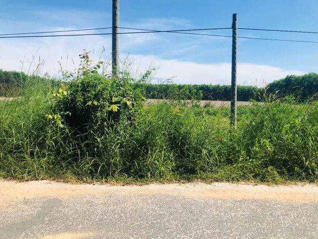 Bán 40m x 35m đất mặt tiền lý nam đế - lagi giá ngộp 50 6932020