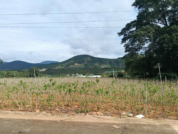 Đất đẹp - giá tốt - chính chủ cần bán lô đất vị trí đẹp tại 6932310