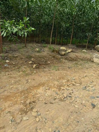 Bán lô đất giá chỉ 180tr dt:532,6m2  ngang 9m 6933391