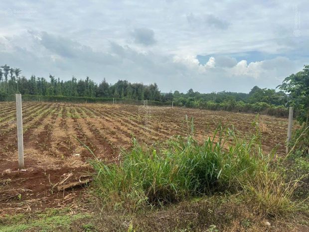 Cơ hội đầu tư đón đầu hạ tầng kcn, đất ở trong kdc hiện hữu 6940251