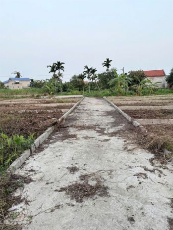 Đất giá siêu rẻ gần đường ven biển bình minh  hợp đức  đồ 6942284