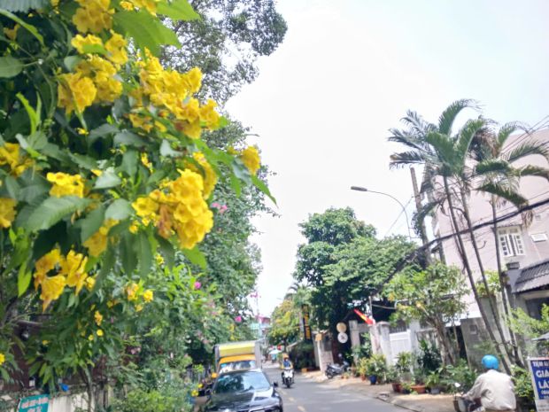 Bán nhà mặt tiền đường số 7  408m²  linh chiểu, thủ đức 6943963