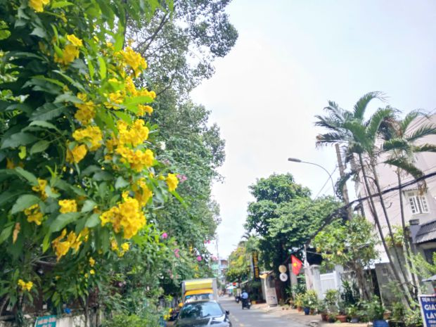 Bán nhà mặt tiền đường số 7  408m²  linh chiểu, thủ đức 6943964