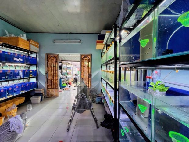Giá tốt nhà cấp 4 hẻm xe tải đường thới an 11, gần lê văn 6944582