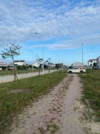 Bán 555m2 đất kinh doanh mặt đường 72m - quán bàu - tp vinh 6944812