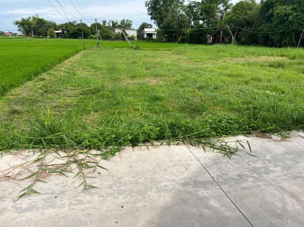 Chính chủ cần bán lô đất mặt tiền vị trí đẹp tại long an 6946825