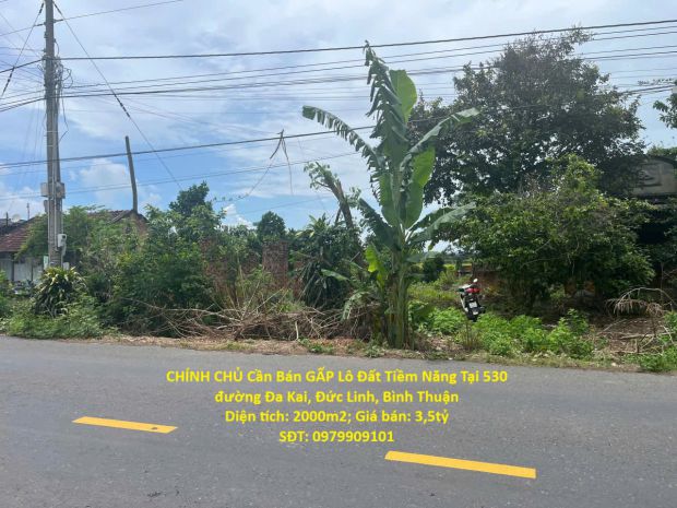 Chính chủ cần bán gấp lô đất tiềm năng tại 530 đường đa 6949447