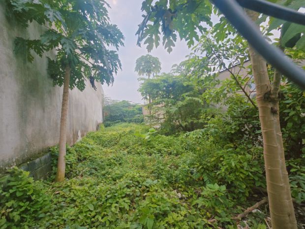 Bán đất 1000m²  p.biên hòa mới,gần chợ hóa an,shr đường xe 6950034