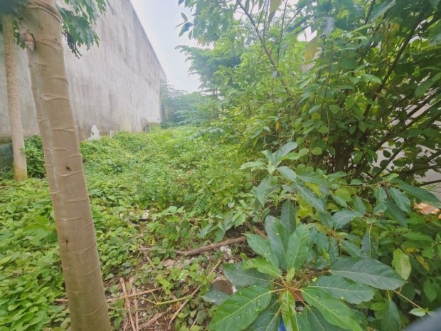 Bán đất 1000m²  p.biên hòa mới,gần chợ hóa an,shr đường xe 6950036