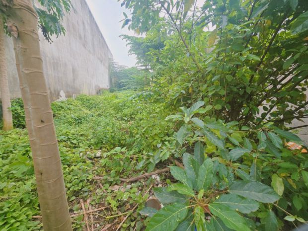 Bán đất 1000m²  p.biên hòa mới,gần chợ hóa an,shr đường xe 6950040