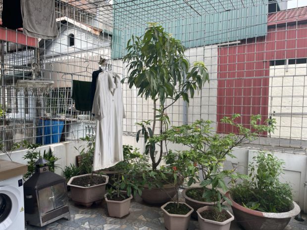 Bán nhà gia quất long biên, dân xây, nở hậu,oto,38m nhỉnh5 6950811