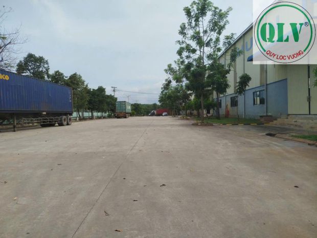 Cho thuê nhà xưởng uyên hưng tân uyên bình dương 101350m2 6951129