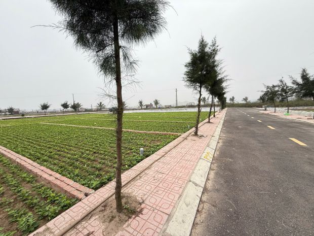 Em cần bán lô đất quất lâm ven biển 90m2 chỉ 1.5 tỷ thôi ạ! 6952262