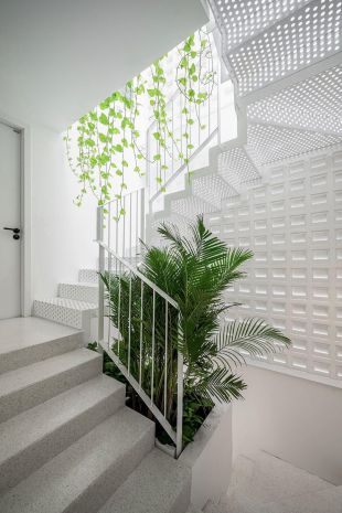 **cực hiếm, hxh cách mạng tháng 8, phường 5, tân bình 6954712