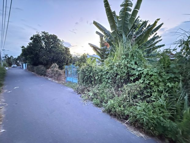 Bán lô đất 3 mặt tiền đường thành hồ - diên phước - diên 6954741