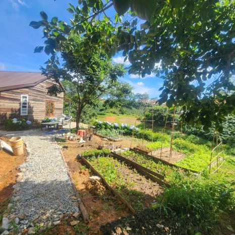 Cho thuê homestay trần thái tông phường 9   đà lạt 6954932