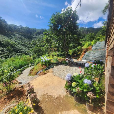 Cho thuê homestay trần thái tông phường 9   đà lạt 6954933