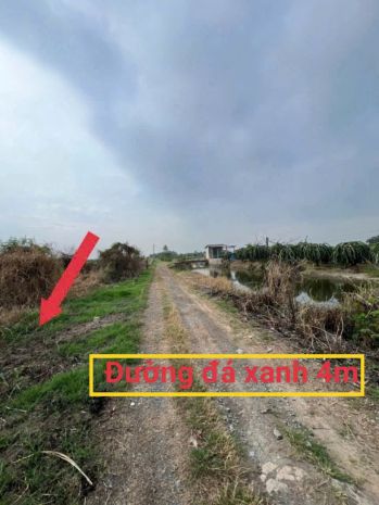 Đất đẹp giá đầu tư  trung tâm phước tân hưng, châu thành, 6955766