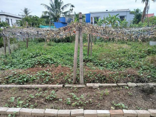 Lô đẹp trung tâm hữu bằng  giá chỉ 9xx triệu  zalo 0567 6956041