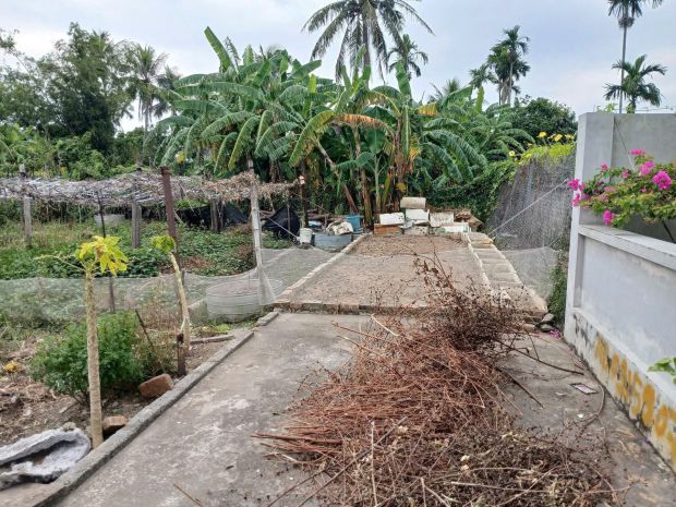 Lô đẹp trung tâm hữu bằng  giá chỉ 9xx triệu  zalo 0567 6956042