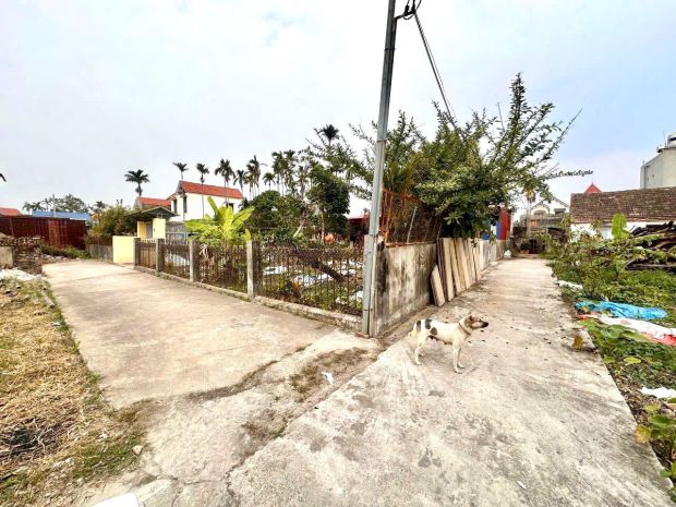 Lô đẹp tuyến 2 hải phòng  gần cầu rào 3, giá chỉ 1,1xx tỷ 6957893