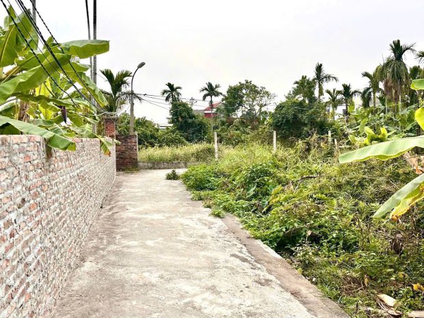 Lô đẹp tuyến 2 hải phòng  gần cầu rào 3, giá chỉ 1,1xx tỷ 6957895