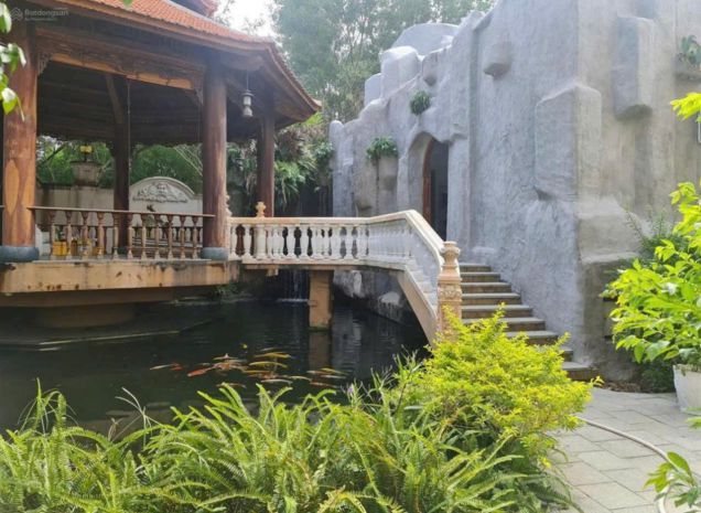 Biệt phủ 1.400m² mặt tiền tân hiệp trung tâm hóc môn giảm 6959005